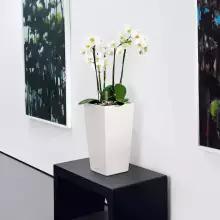 Doniczka Lechuza CUBICO Color 22/22/41 biały